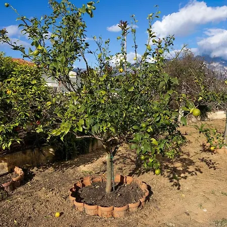 Casa Renta * Μεταξάτα