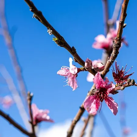 Casa Renta Villa Metaxáta