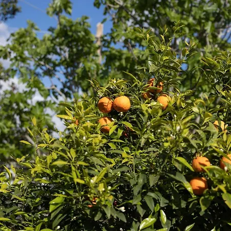 فيلة Casa Renta *