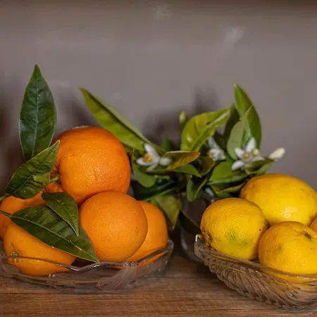 Casa Renta فيلة Metaxáta